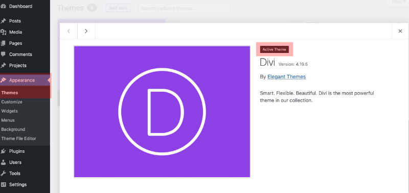 Installation of DIVI Theme from Divi.zip